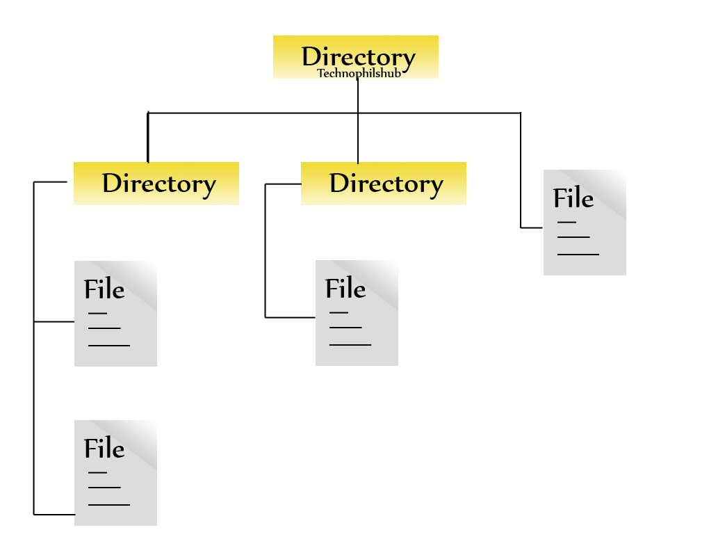 What Is The Difference Between A Directory And A File